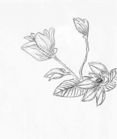 Flower Sketch 1
