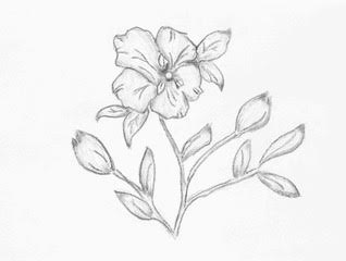 Flower Sketch 2