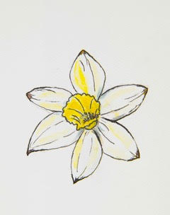 Narcissus Yellow Flower